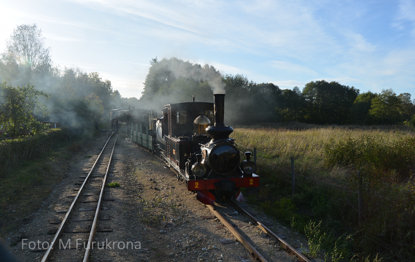 Senare på eftermiddagen när solen börjar stå lågt kommer Virå med tåg in för ett möte på Hedlandets station